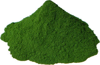 Chlorella Powder2